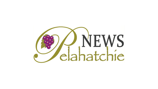 They choose CMS 4media: Pelahatchie News