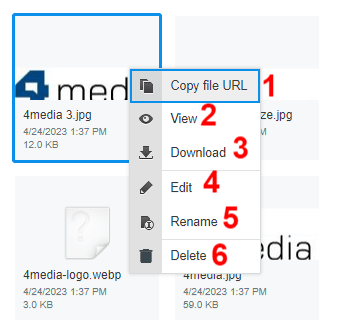 Context Menu for a File in the File Browser