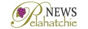 pelahatchie news logo