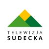 telewizja sudecka logo