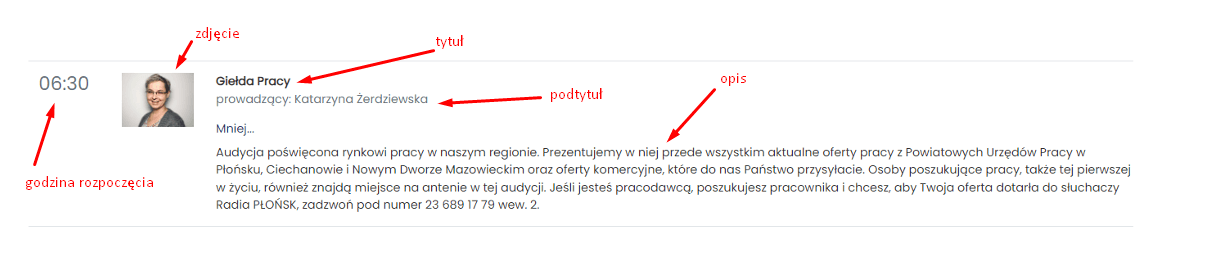 elementy wpisu ramówka cms 4media