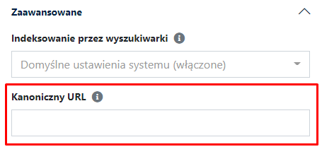 kanoniczny url ustawienia