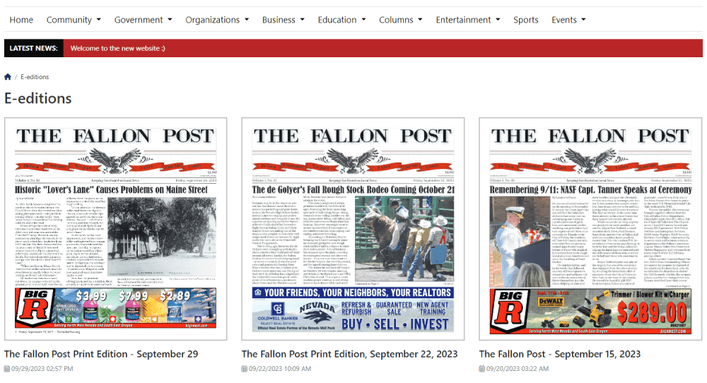 e-editions newspaper cms