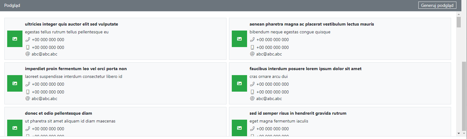 podgląd zawartości widget katalog firm