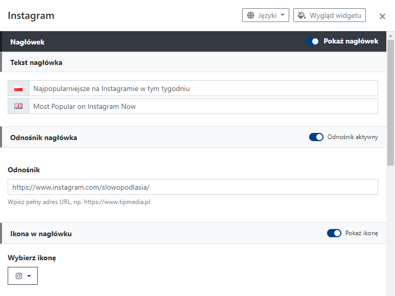 Ustawienia nagłówka widgetu Instagram