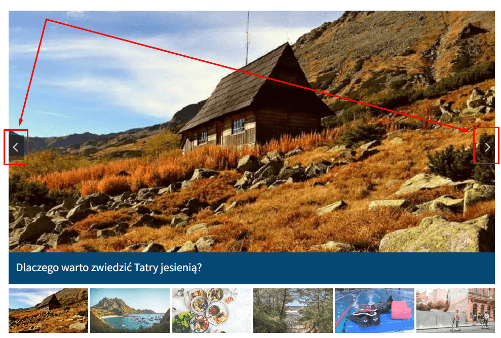 Elementy sterujące w widgecie Slider - strzałki do przewijania zdjęć