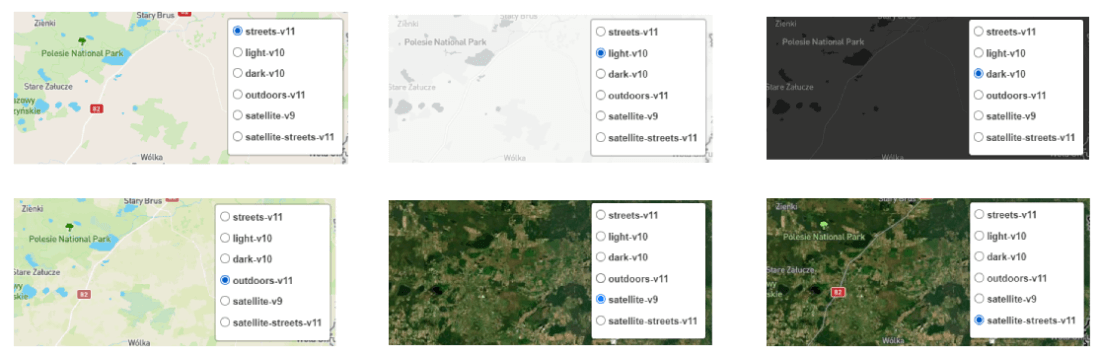 Available layer and map appearance settings