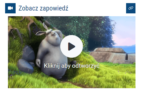 Widget z włączonym wyświetlaniem tylko jednego wideo (suwak “Pokaż odtwarzacz z wybranym materiałem wideo”)