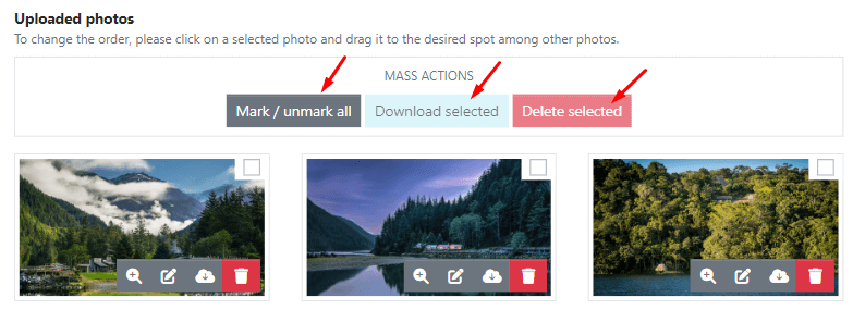 Mass Actions: Download selected photos